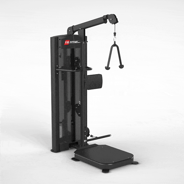 55A: Dual Function Series 13 Standing Biceps / Triceps