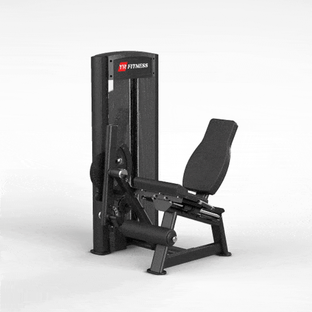 61A: Racing Series 13 Leg Extension