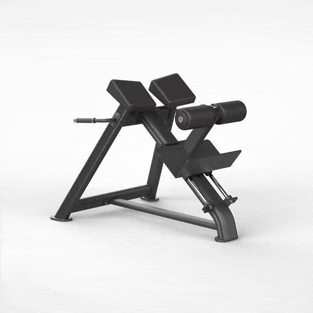 Adjustable Roman Bench