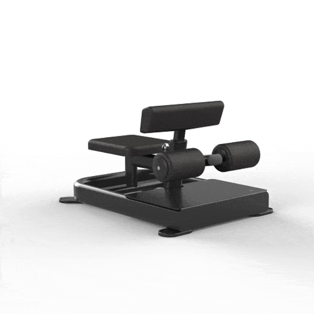 Bench &Amp; Rack 13 Sissy Squat Combo Trainer