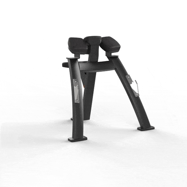 Biceps Curl Rack