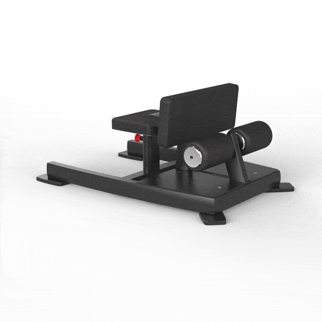 73: Tough Series 10 Squat Plate